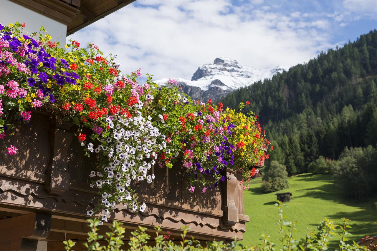 Haus Fernblick Hotel Neustift im Stubaital Buitenkant foto